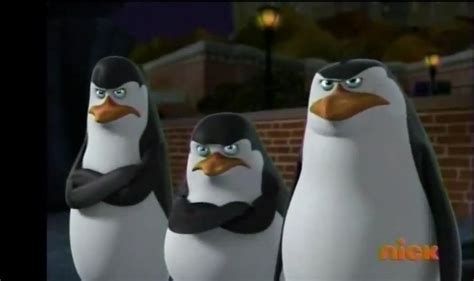 why so angry penguins of madagascar photo 31601682 fanpop