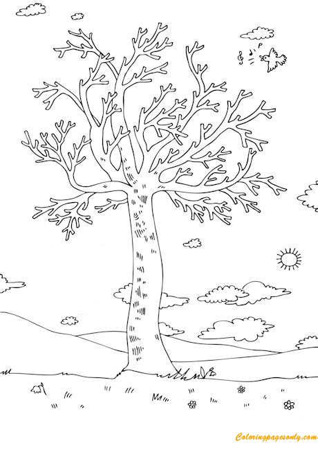 spring tree  leaves  blossoms coloring pages  printable