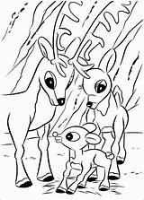 Coloring Rudolph Pages Reindeer Printable Christmas Baby Red Nosed Kids Santa Book Cute Sheets Color Drawing Coloriage Rudolf Print Filminspector sketch template