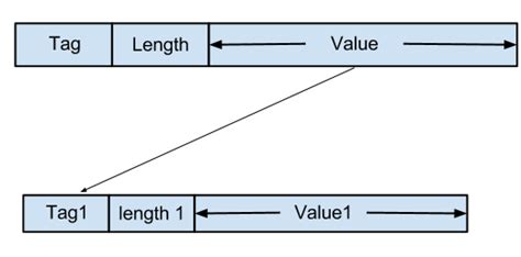 tlv encoding  data