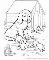 Coloring Pages Dog Puppy Printable Dogs Puppies Mother Playing Watches Her Colouring Kids Sheets Print House Happy sketch template