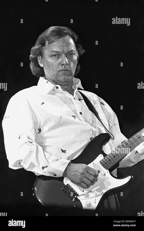david gilmour  res stock photography  images alamy