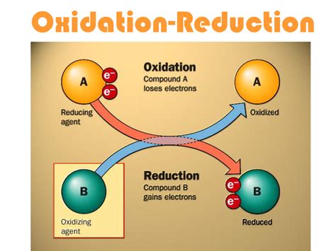 task  oxidation  reduction principles  biochemistry