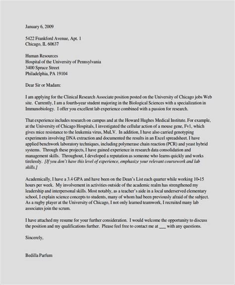 sample cover letter  templates   ms word