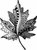 Coloring Zentangle Leaf Pages Printable Zen Mandala Zentangles Maple Clipart Leaves Adult Templates Doodle Choose Board Drawing Popular sketch template