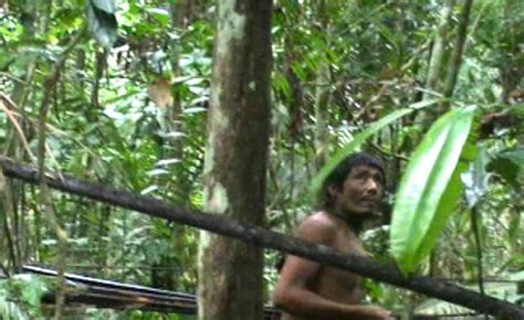 tags amazon news uncontacted tribe