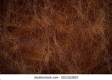 patterned leather  leather texture background stock photo