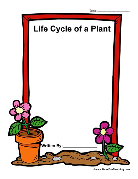 life cycle   plant worksheet