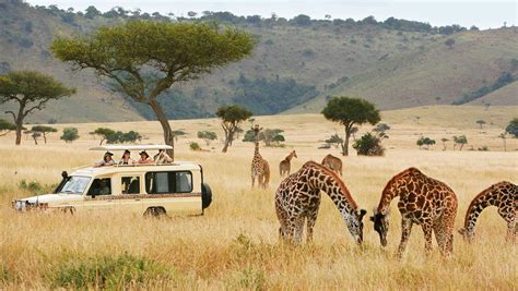 plan  african safari   time  covid