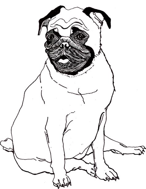 pug  coloring pages