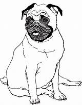 Pug Coloring Pages Printable Dog Cute Baby Kids Pugs Puppy Sheets Cartoon Color Print Bestcoloringpagesforkids Animal Big Popular Trending Days sketch template
