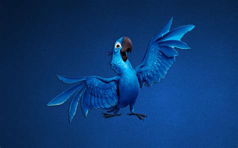 parrot blue art cartoon wallpaper