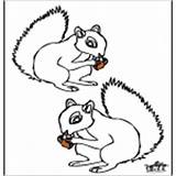 Coloring Animals Pages Squirrel Rodents Category sketch template
