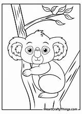 Koalas Nap Possibly Preparing Comfortable Iheartcraftythings sketch template