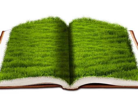 open book png transparent images   transparent