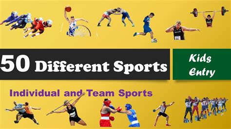 individual  team sports  types  sports  world