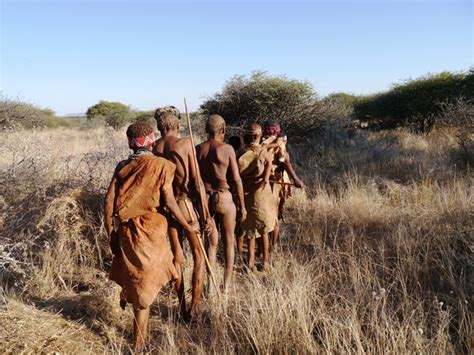 n a an ku sê and the san bushmen africa geographic