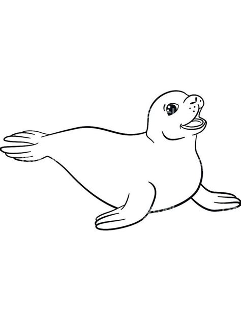 coloring pages   seal talking  seals   endless