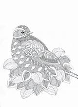 Coloring Pages Zentangle Adult Adults Bird Coloriage Detailed Mandala Animaux Volwassenen Voor Advanced Animal Abstract Colouring Fantastiques Paisley Kleurplaten Books sketch template