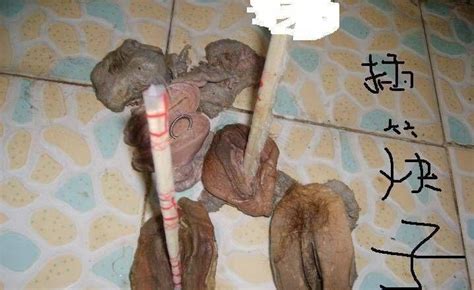 autopsy morbid funny cocks and best porn r34 futanari shemale i fap d