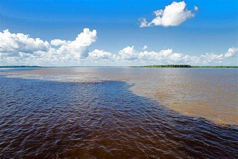 Manaus And 5 Day Iberostar Grand Amazon Cruise Brazil