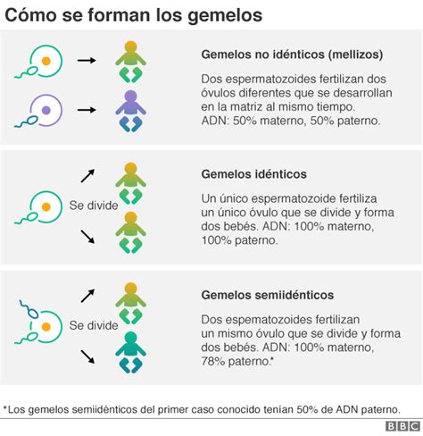 Gemelos Idénticos Pero De Diferente Sexo ¿por Qué Este Caso Ha Causado