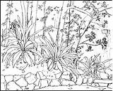 Coloring Pages Natural Getcolorings Nature sketch template