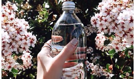 Clever Ways To Drink More Water When You Actually Hate It Society19