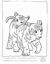 Tiger Coloring Pages Baby Cute Tigers Lsu Kids Printable Sheets Colouring Mother Color Animals Cub Cubs Footprints Sand Print Colour sketch template