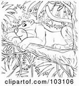Coloring Jaguar Pages Outline Tree Illustration Royalty Clipart Justin Bieber Panther Bannykh Alex Rf Clipartof sketch template