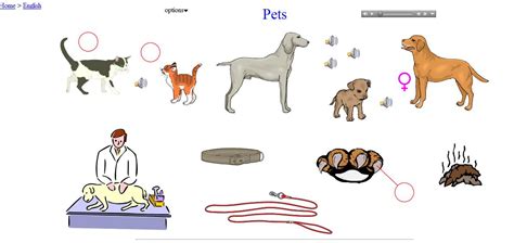 pets english guideorg