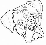 Boxer Drawing Line Dog Head Puppy Drawings Clipart Easy Book Pencil Getdrawings Breed Paintingvalley sketch template