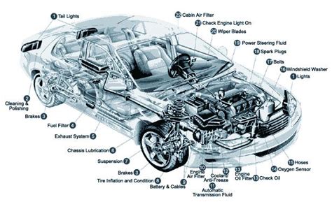 car parts diagram  hood