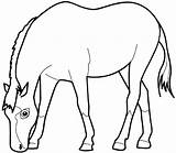 Coloring Pages Printable Animals Animal Pregnant Library Clipart Horse sketch template