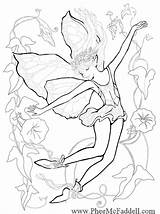 Coloring Pages Fairy Fantasy Enchanted Mermaid Adults Adult Morning Glory Designs Mcfaddell Phee Books Colouring Pheemcfaddell Line Print Fairies Clipart sketch template