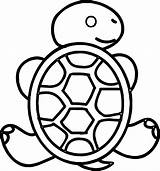 Turtle Tortoise Coloring Back Sea Drawing Loggerhead Wecoloringpage Clipartmag sketch template