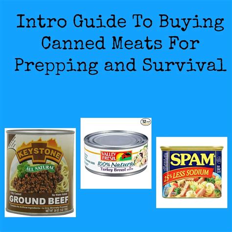intro guide  buying canned meats  prepping  survival backdoor