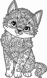 Mandala Coloring Cat Kitten Adult Pages Puppy Animal Adults Cute Animals Print Dog Colouring Printable Kids Simple Kittens Fox Deer sketch template