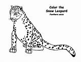 Leopard Snow Coloring 62kb 464px sketch template