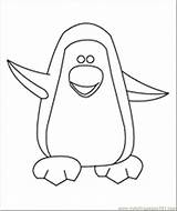 Coloring Penguin Printable Pages Popular sketch template