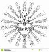 Mary Heart Immaculate Virgin Blessed Coloring Tattoo Vector Illustration Stock sketch template