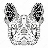 Zentangle Bulldog Vector Bacheca Scegli Una Descargar Freehand Stylized Pencil French Head Illustration sketch template