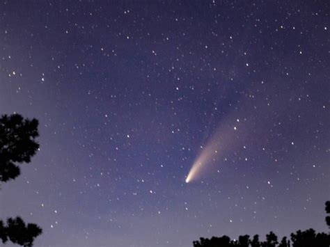 remnants  halleys comet   flash     night sky time  jeddah