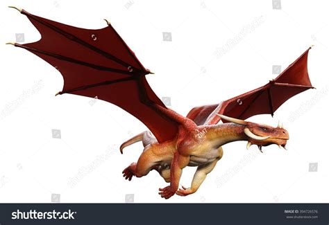 red dragon hunting  stock photo  shutterstock