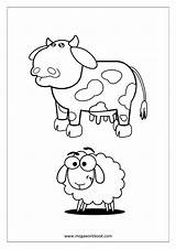 Coloring Sheets Cow Sheep Animals Megaworkbook Birds sketch template