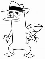 Ferb Phineas Coloring Pages Agent Print Perry Platypus Printable Color Clipart Hmcoloringpages Printables Getcolorings Library Popular sketch template