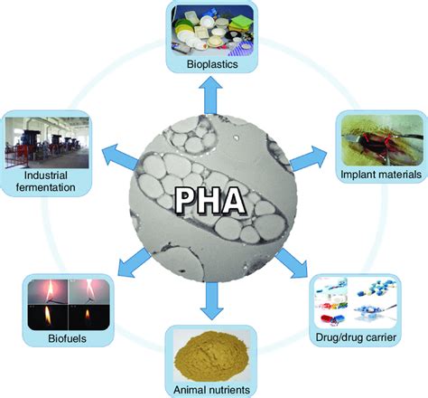 applications  pha  scientific diagram