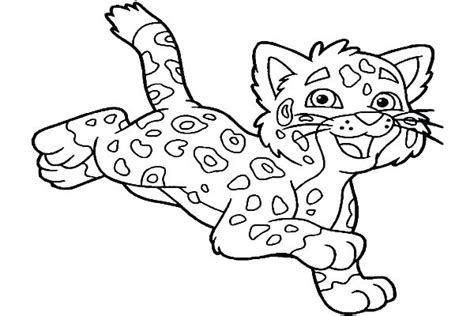 baby jaguar coloring pages  getcoloringscom  printable