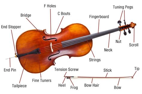 parts   cello diagram wiring site resource