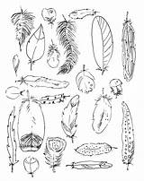 Feathers Printable Colouring Coloring sketch template